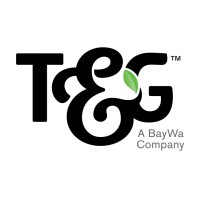 T&G Global Limited